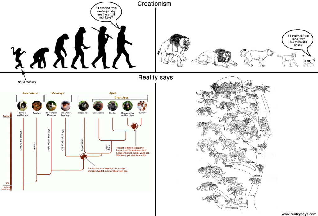 Creationism vs Reality